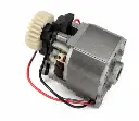 motor 1.4.webp